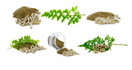 Fresh Moringa leaf and powder - medicinal plant Isolated on white background