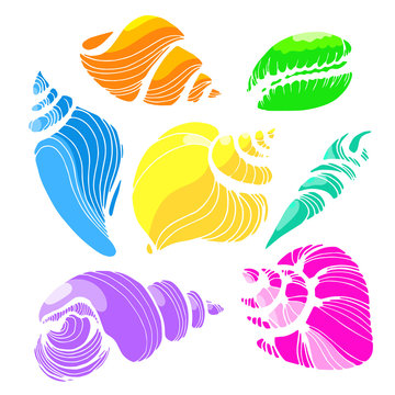 Color set with shapes of sea shells on white background. Vector
