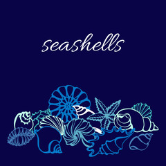 Template of art line of seashells on blue background. Vector