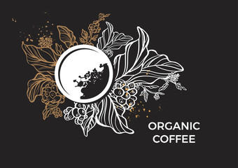 Template of branch of coffee tree, leaves, flowers and beans. Vector