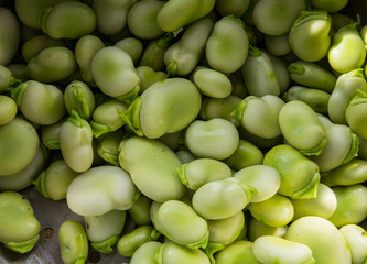 Broad Beans