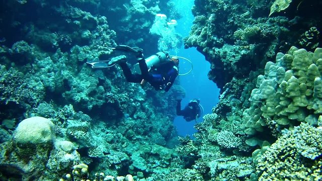 Scuba diving - Two divers in a coral reef