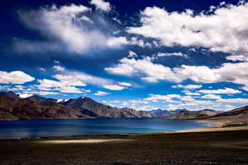 Ladakh Diaries 