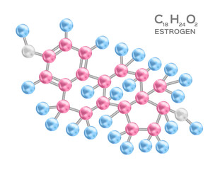 estrogen structure vector