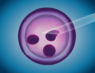stem cell , artificial insemination vector