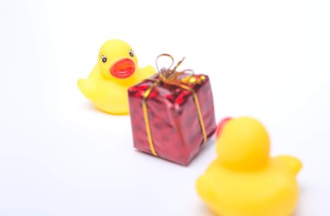 christmas duck gift