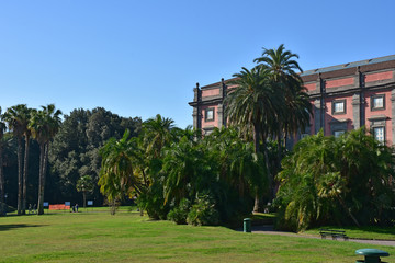 Fototapeta na wymiar Napoli. Reggia di Capodimonte, costruita a partire dal 1738 per volere di Re Carlo di Borbone, è un palazzo reale, con annesso un parco. Fu la residenza storica dei Borbone di Napoli. 