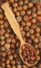 Hazelnuts in spoon on a background whole nuts