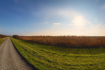 Landschaftspanorama Insel Langeoog