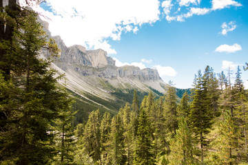 Geislergruppe or Gruppo delle Odle mountains panorama view from the forest in the Dolomites