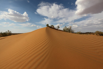 Beautiful sand dune and blue sky with fluffy clouds.Desert Kyzyl-Kum.Uzbekistan.
