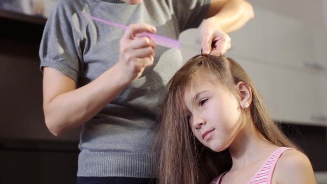 A pretty woman plaits the braid of her little daughter. Braiding the braids on the head.