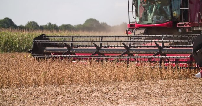 Thresher combine harvester reel cutter bars cutting soya bean plant. Farm vehicle on soybean field slow-motion Full HD video.