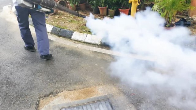 Technician fogging into drain to kill aedes mosquito, carrier of dengue and zika fever virus 

