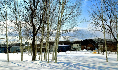Sapporo winter landscape