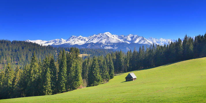 Sunny Summer Day In Alps