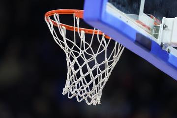 Basketball ring with net