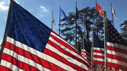 Morning view of groups of American flags swining on Veteran's Day at Temple City, California, United States