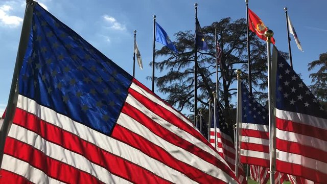 Morning view of groups of American flags swining on Veteran's Day at Temple City, California, United States