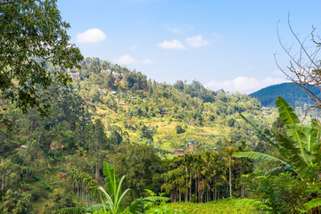 Fototapeta na wymiar Ella is a small town in the highlands of Sri Lanka. Approx 1000m high, the town is rich on bio-diversity, surrounded by forest and tea plantations. Located in the Uva province