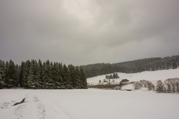 Winter, Winterzeit, Schnee, Schwarzwald, Spaziergang, Wandern