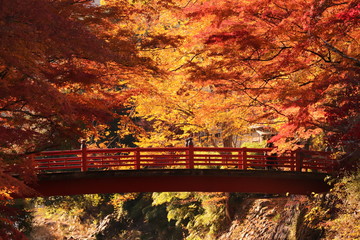 紅葉と赤橋