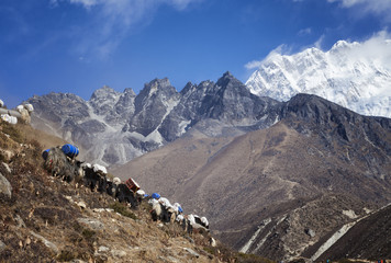 Himalaya, Nepal. Way to Mount everest base camp