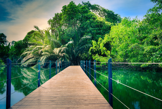 bridge over river in garden.