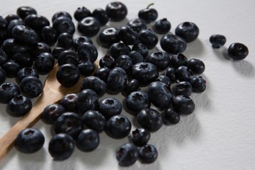 Blueberries on a white background