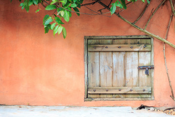 Fototapeta na wymiar An old wooden door with cement wall and ivy.