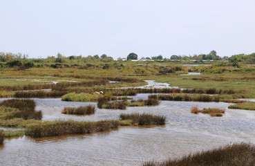 lagoon landscape near Venice in Italy. The Palce is called MESOL