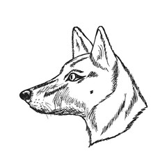 Hand drawn monochrome dog in sketch style. Vector illustration EPS 10