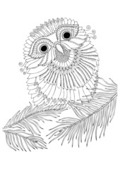 Little owl sits on fir tree branch.  Hand drawn picture. Sketch for anti-stress adult coloring book in zen-tangle style. Vector illustration for coloring page.