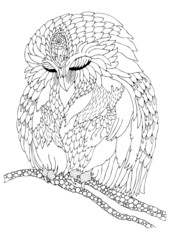 Sleeping owl. Hand drawn picture. Sketch for anti-stress adult coloring book in zen-tangle style. Vector illustration for coloring page.