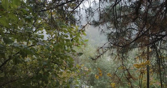 Autumn-Winter Tale in the Mountains, Transcarpatia, Ukraine