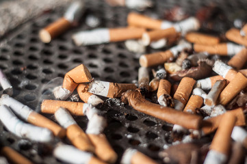  mégots de cigarettes dans un cendrier dans la rue © pixarno
