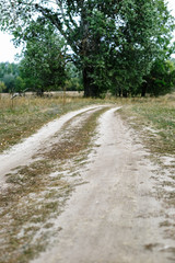 Old rural road in summertime.