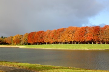 Obraz premium Colours of autumn