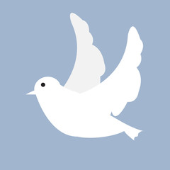 pigeon flapping wings