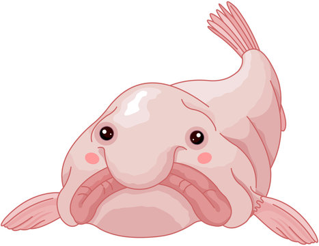 Blobfish Images – Browse 166 Stock Photos, Vectors, and Video | Adobe Stock
