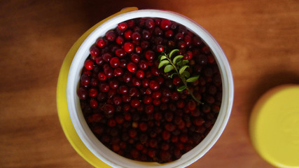 Fresh cowberry in a white high jar
