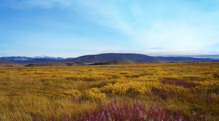 Luxury tundra in the autumn beauty of the mountains - obrazy, fototapety, plakaty