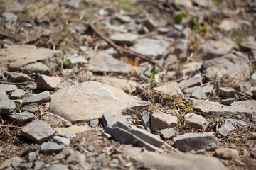 Stones on the ground in black and white