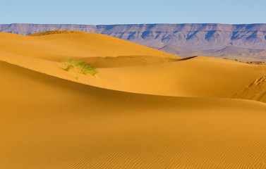 Le Maroc