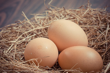 Chicken Egg fresh from farm.