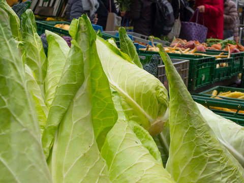 hispi cabbage at market