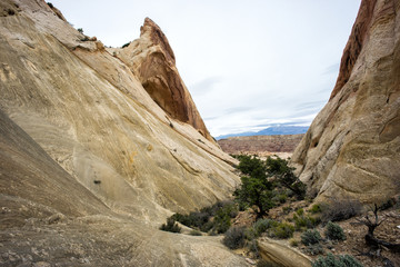 Capitol Reef, Utah