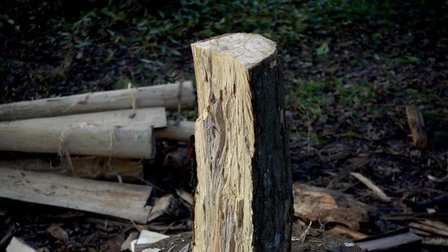 
Wood cutting slows motion. The ax cuts a stump close up of a slow motion.
