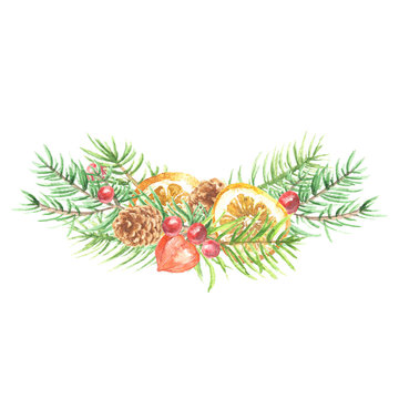 Watercolor hand drawn Christmas bppoquet, fir branches with citrus and berries, isolated on white background. Winter holidays festive design.