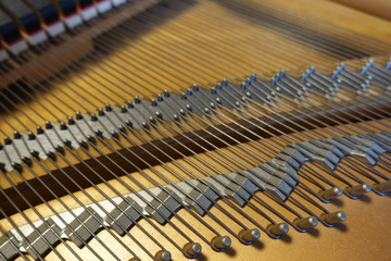 Strings inside grand piano